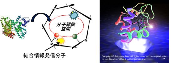 分子インプリントポリマー