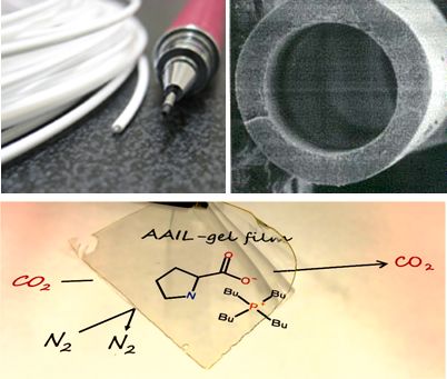 処理用中空糸膜と機能性CO2分離膜