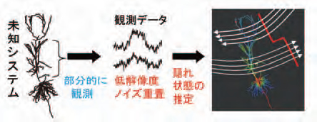 低解像度データからの複雑未知システムの推定